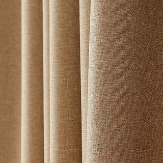 Serene Moment Beige Colour Curtain 6