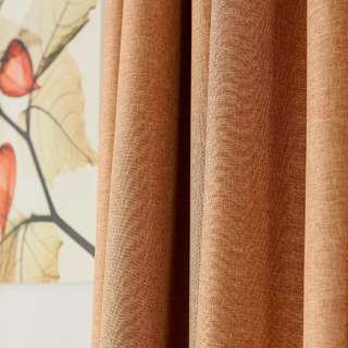 Serene Moment Light Brown Curtain 5