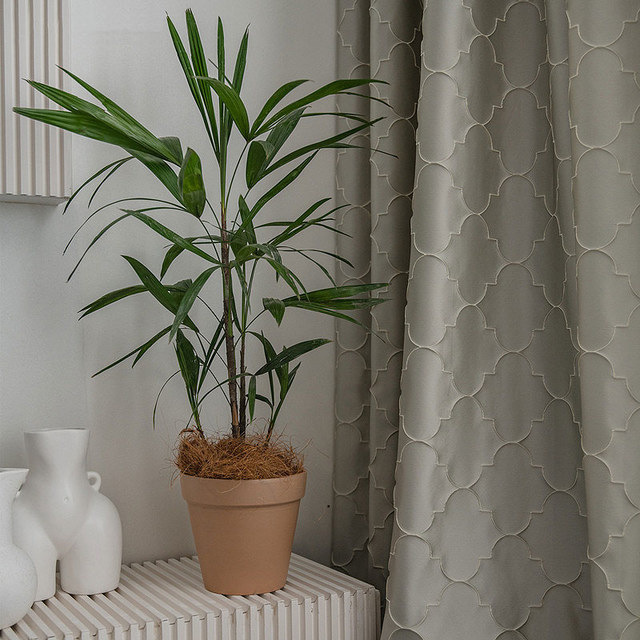 Moroccan Tile Trellis Champagne Cream Geometric Curtain 1