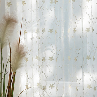 Angelina Cream Sheer Voile Curtain with Embroidered Flowers 2