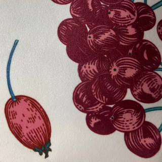 Berry Bliss Rouge et Crème Rideaux Floraux en Velours 7