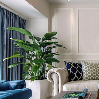 Fine Cadet Blue Velvet Curtain 5