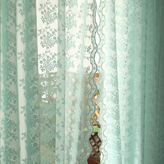 Lace Curtain Posey Pastel Green Net Curtains 4