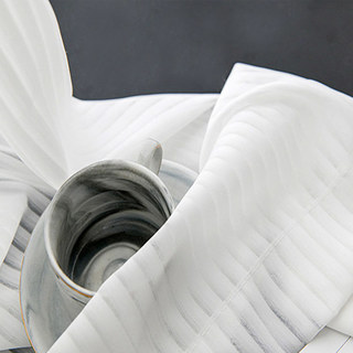 Sun Rays Bold Striped White Sheer Curtain 4