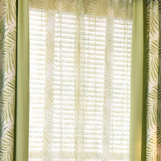 Palm Tree Leaves Green Sheer Curtain 3