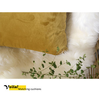 Fine Gold Velvet Curtain Drapes 3