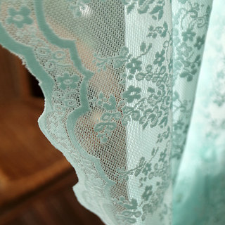 Lace Curtain Posey Pastel Green Net Curtains | Voila Voile®