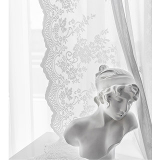Amanda Ivory Floral Lace Detail Net Sheer Curtain 6